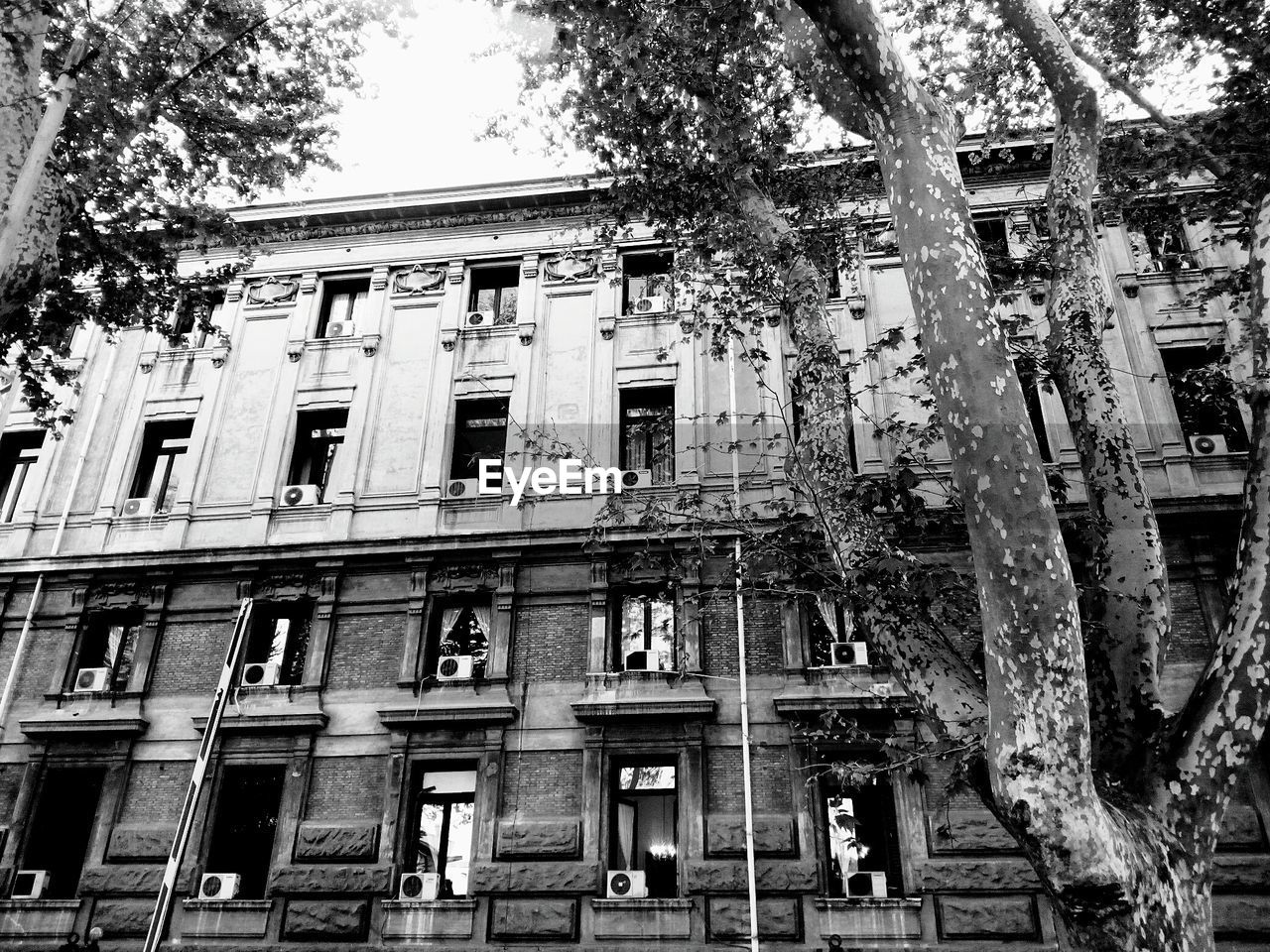 LOW ANGLE VIEW OF BUILDING WITH TREES AGAINST SKY