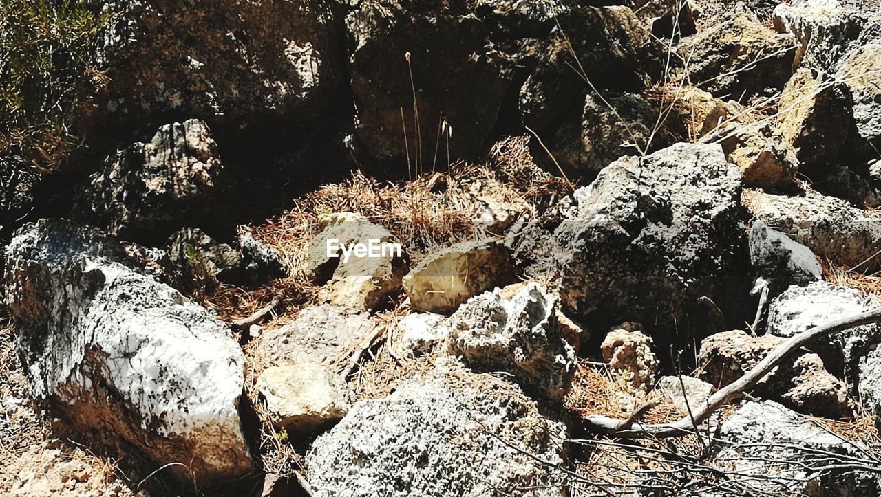 CLOSE-UP OF ROCKS BY WATER