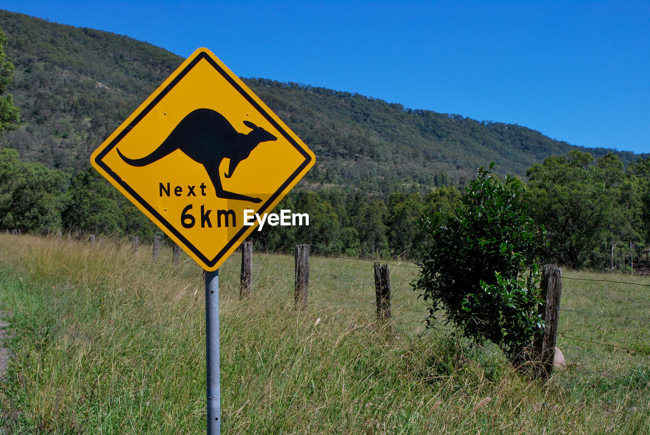 Kangaroo crossing