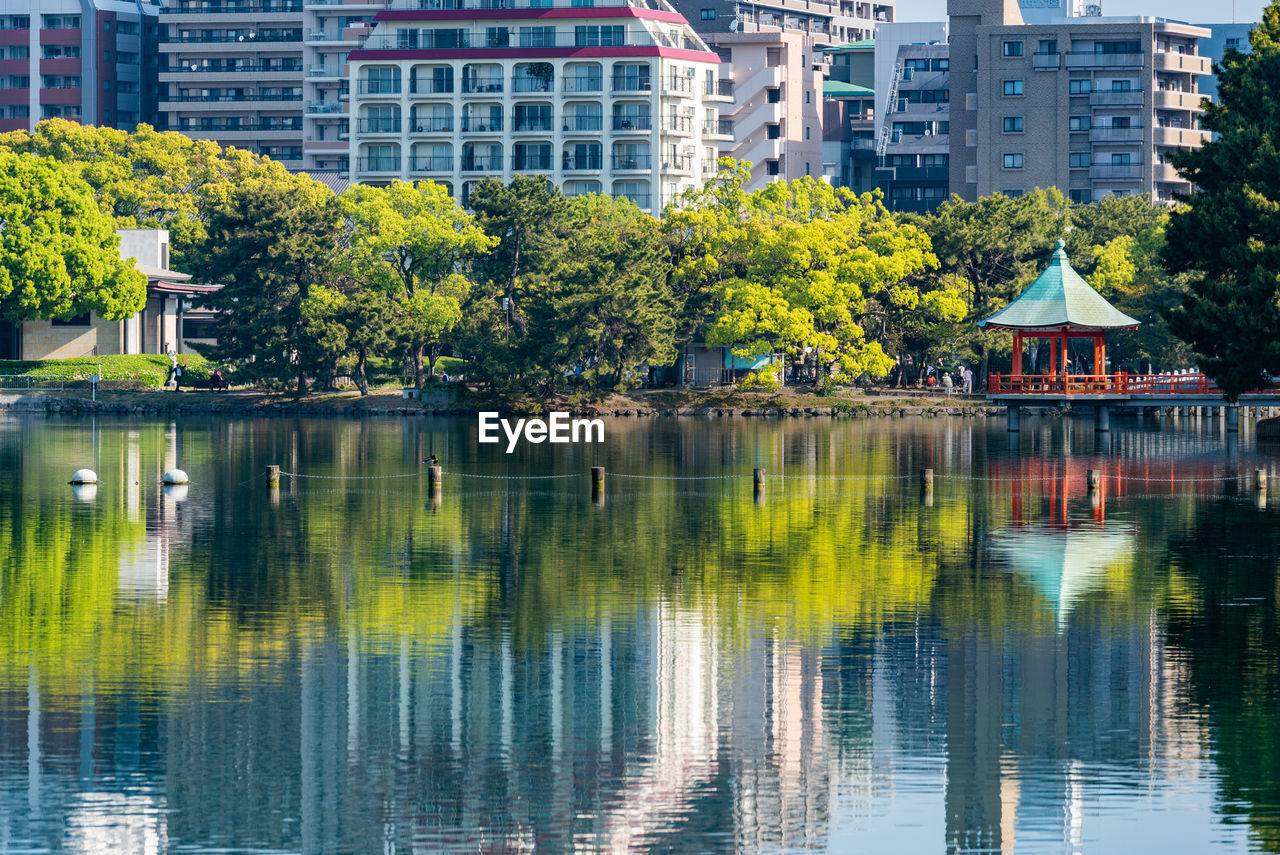 Reflection of trees and buildings in lake