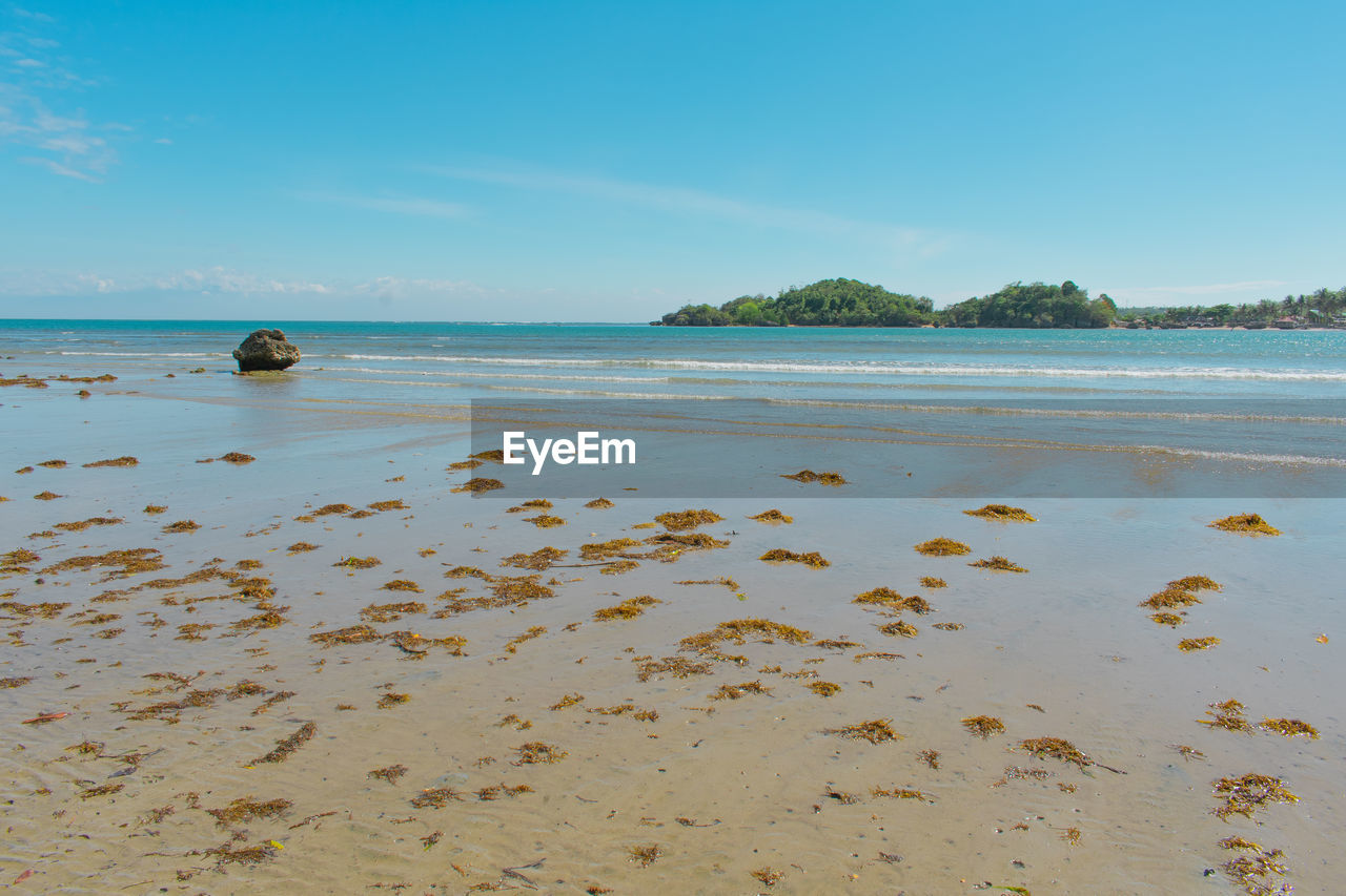 Scenic view of beach against sky