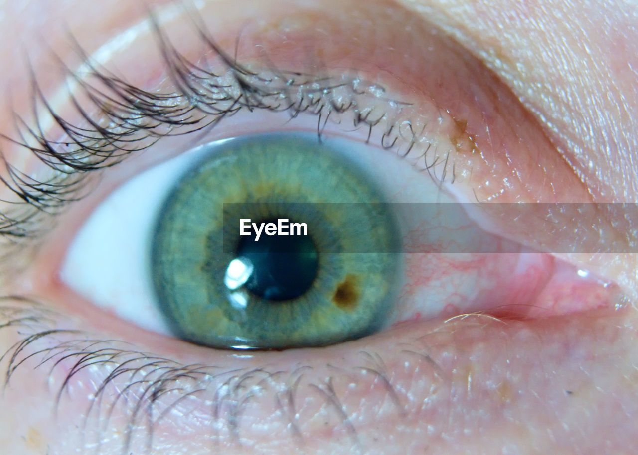 Close-up portrait of woman eye