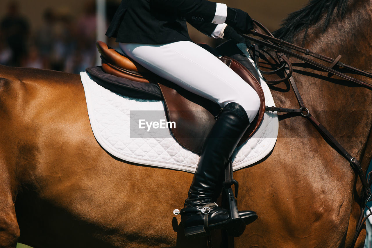 Horse jumping, equestrian sports themed photo.