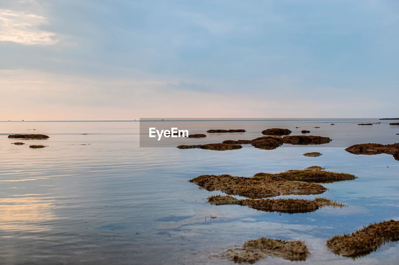 SCENIC VIEW OF ROCKS IN SEA