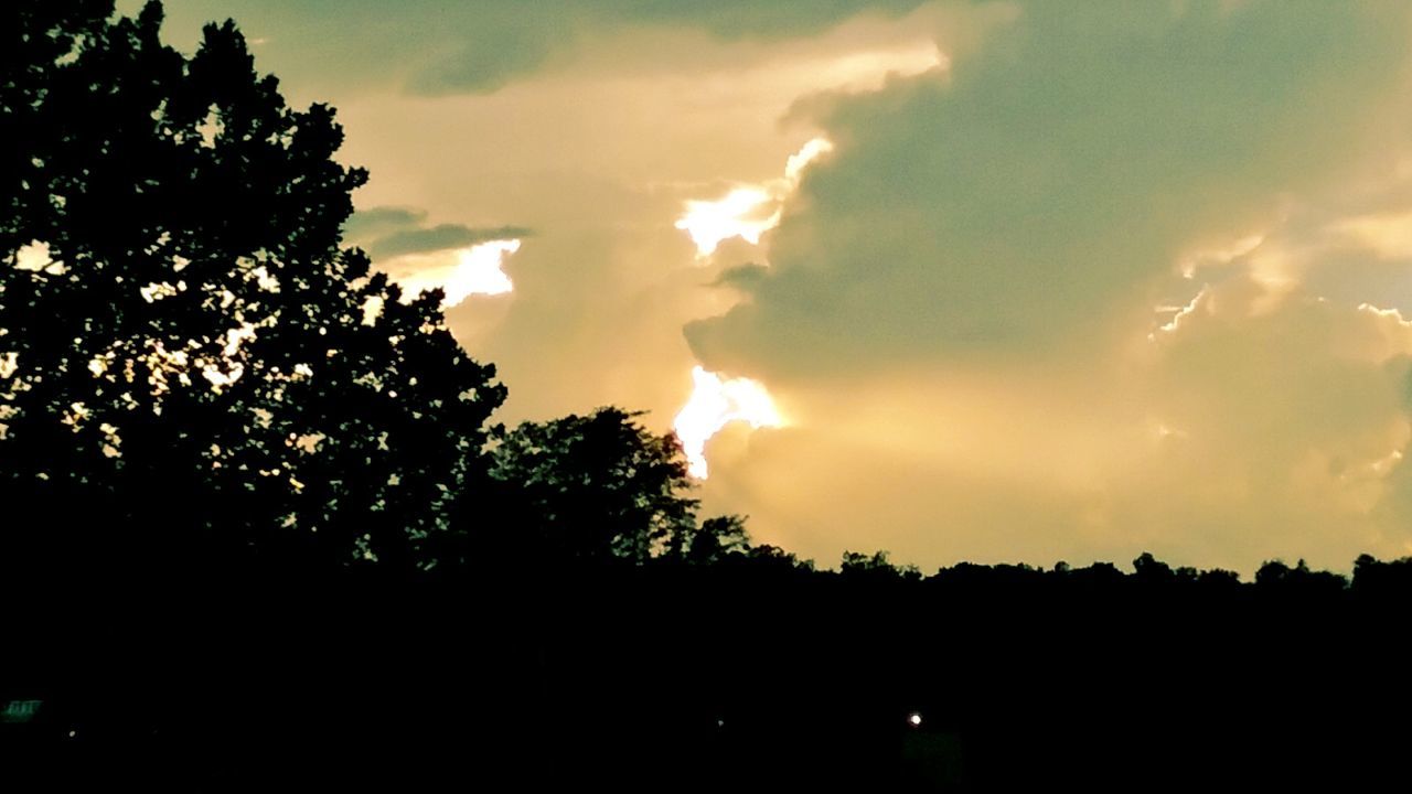 SILHOUETTE OF TREES AGAINST DRAMATIC SKY