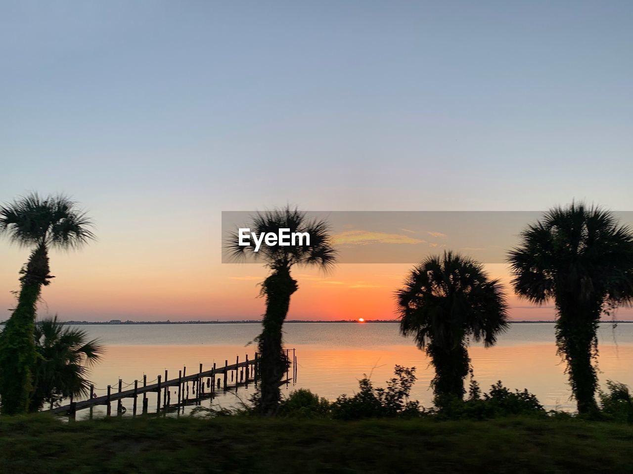 SILHOUETTE TREES BY SEA AGAINST CLEAR SKY AT SUNSET