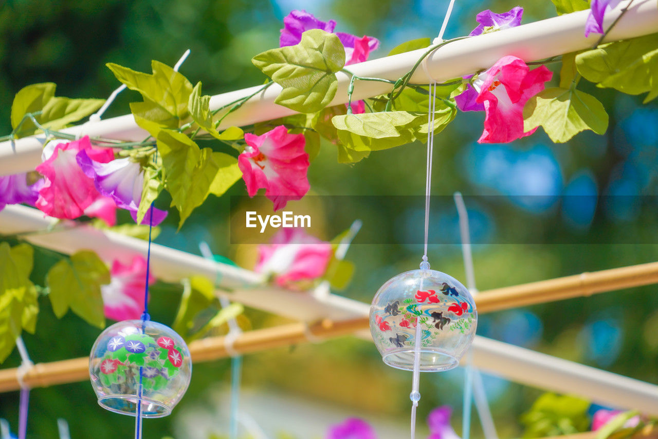 plant, flower, nature, flowering plant, decoration, multi colored, beauty in nature, celebration, no people, hanging, springtime, fragility, holiday, freshness, outdoors, tree, pink, focus on foreground, close-up, summer, day, branch, event, tradition, selective focus, blossom, easter