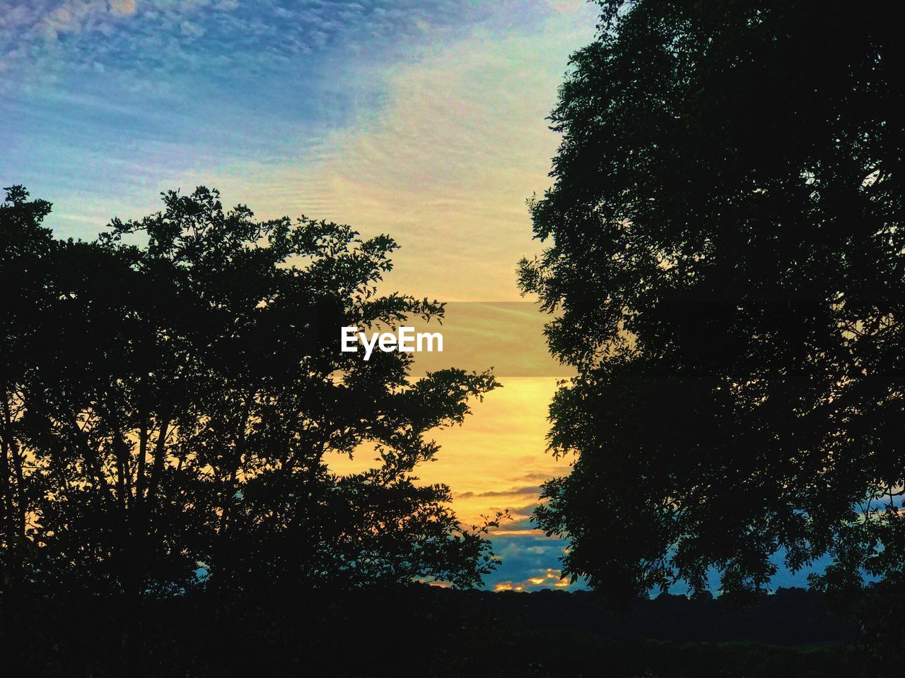 LOW ANGLE VIEW OF SILHOUETTE TREES AGAINST SKY DURING SUNSET