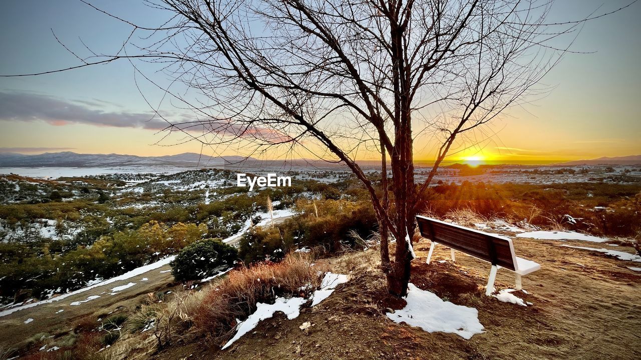 BARE TREE AGAINST SNOWCAPPED MOUNTAIN DURING SUNSET