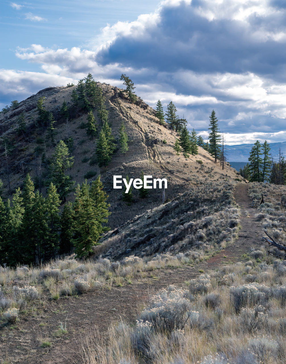 Scenic view of land against sky