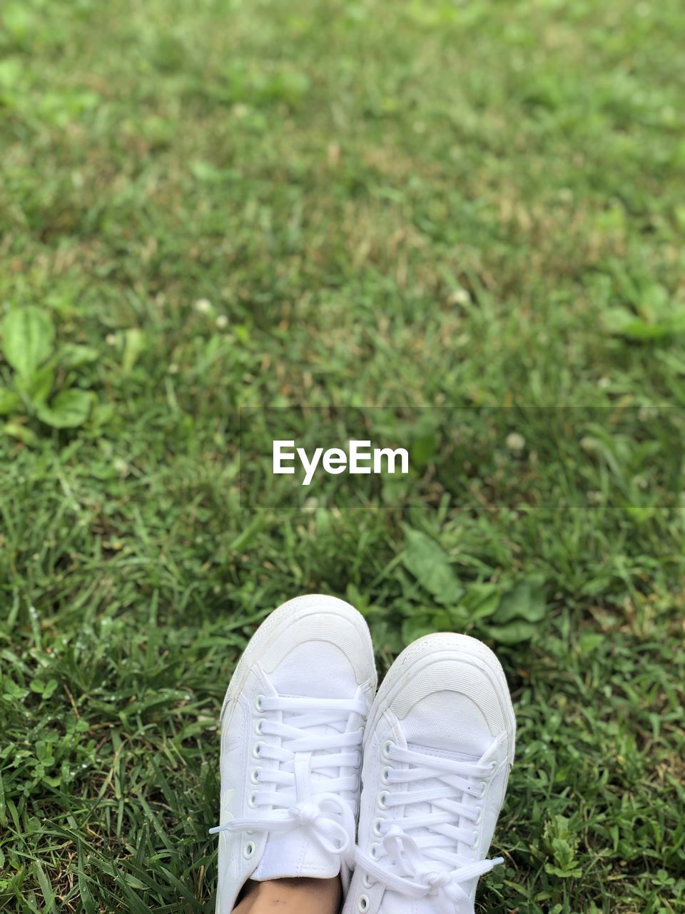 LOW SECTION OF PERSON WEARING SHOES ON GRASS