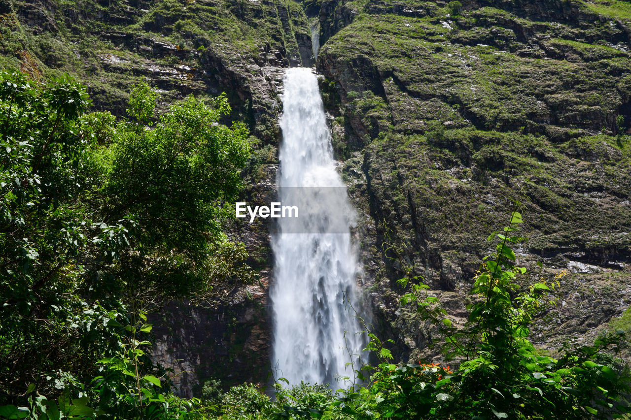 Scenic view of waterfall in forest