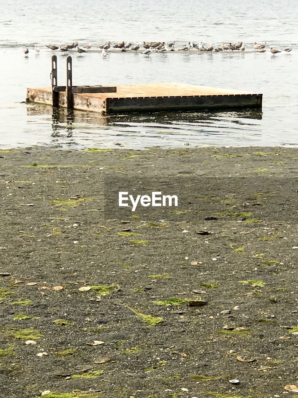 SCENIC VIEW OF RIVER