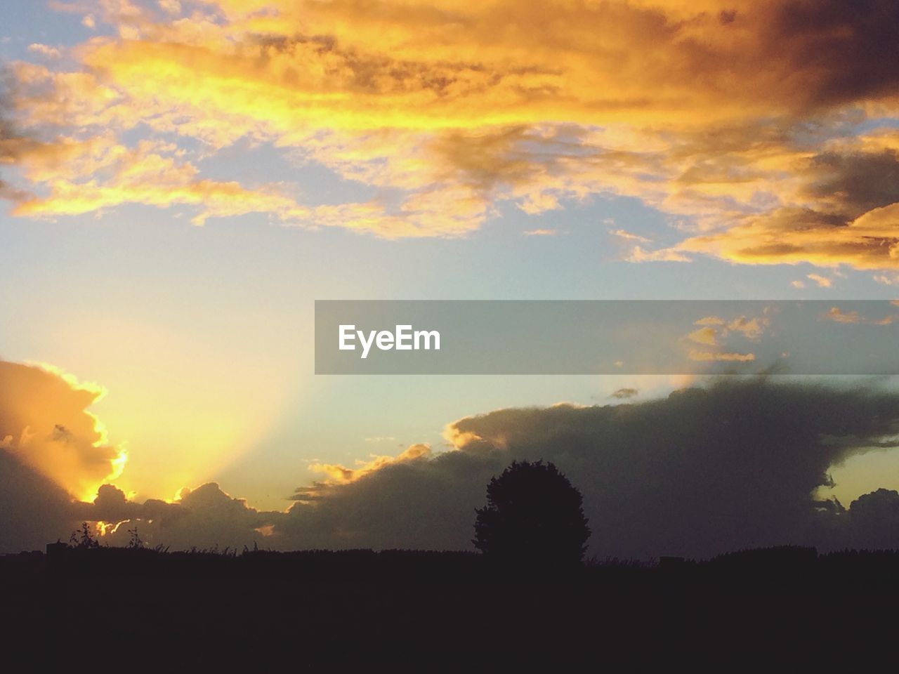 SILHOUETTE TREES ON FIELD AGAINST ORANGE SKY