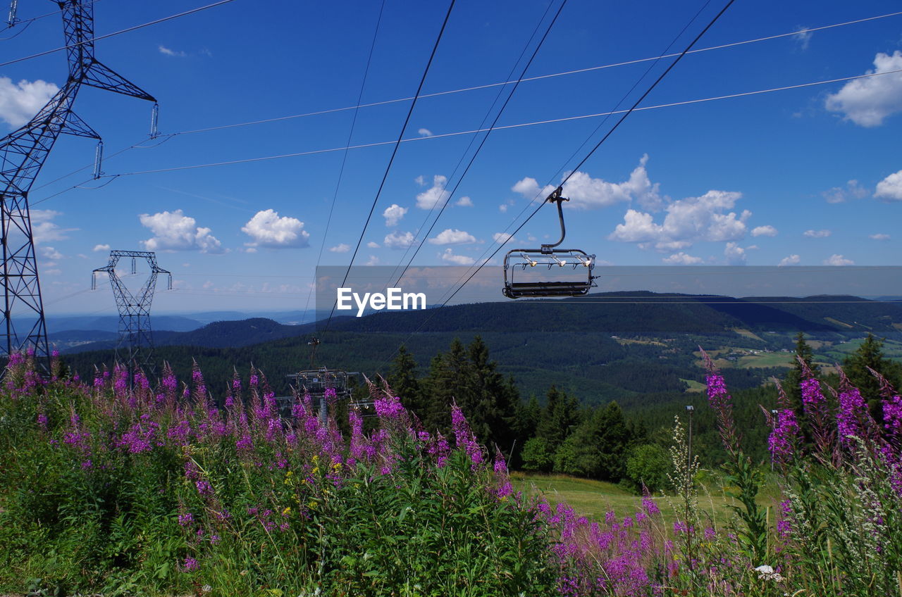 VIEW OF FLOWERING PLANTS ON LAND AGAINST SKY