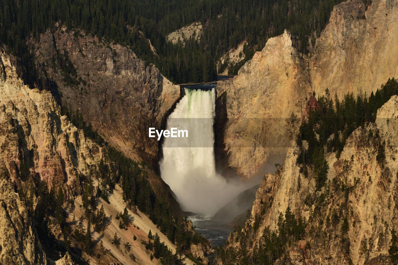 Scenic view of waterfall in forest