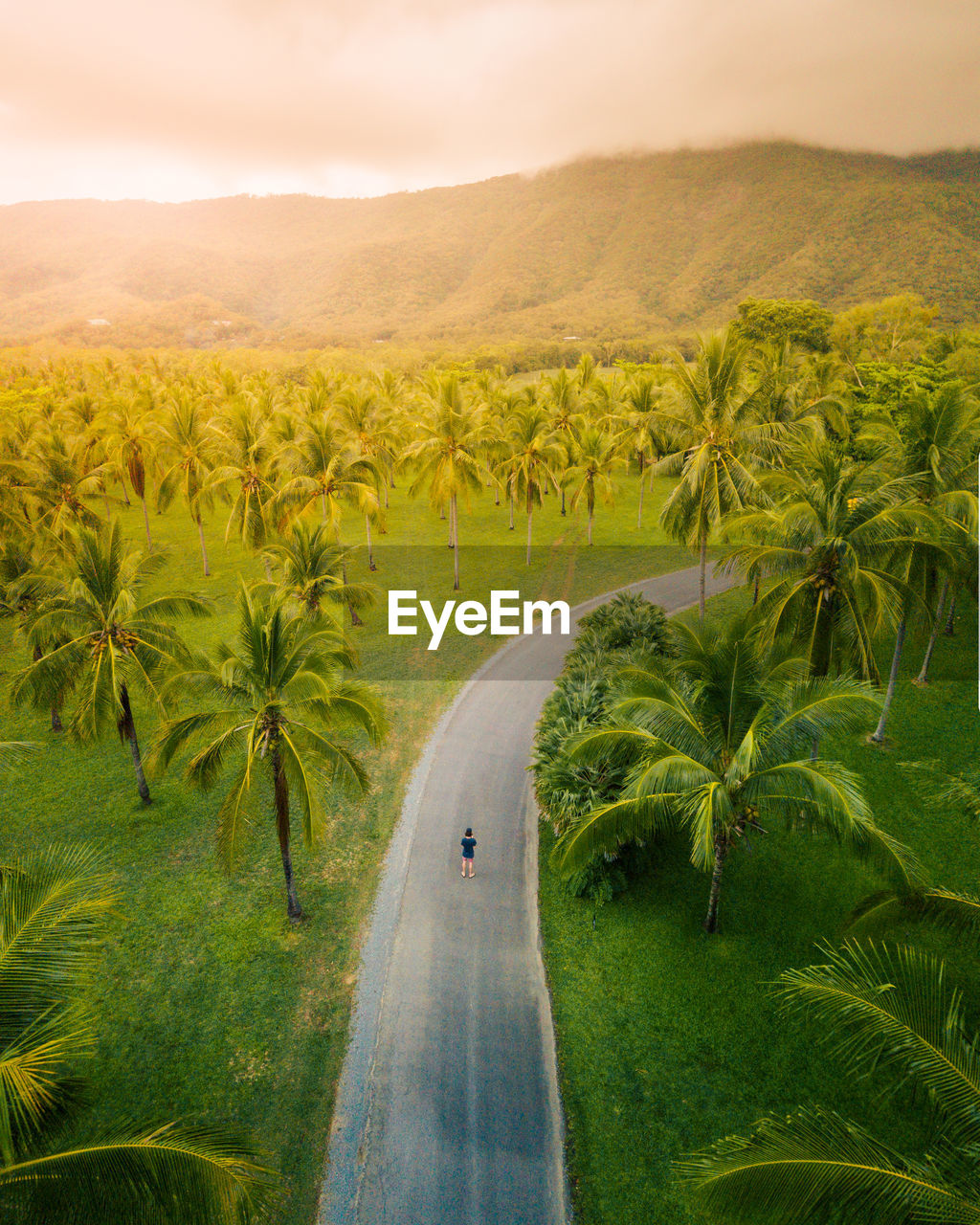 Scenic view of road amidst trees against sky