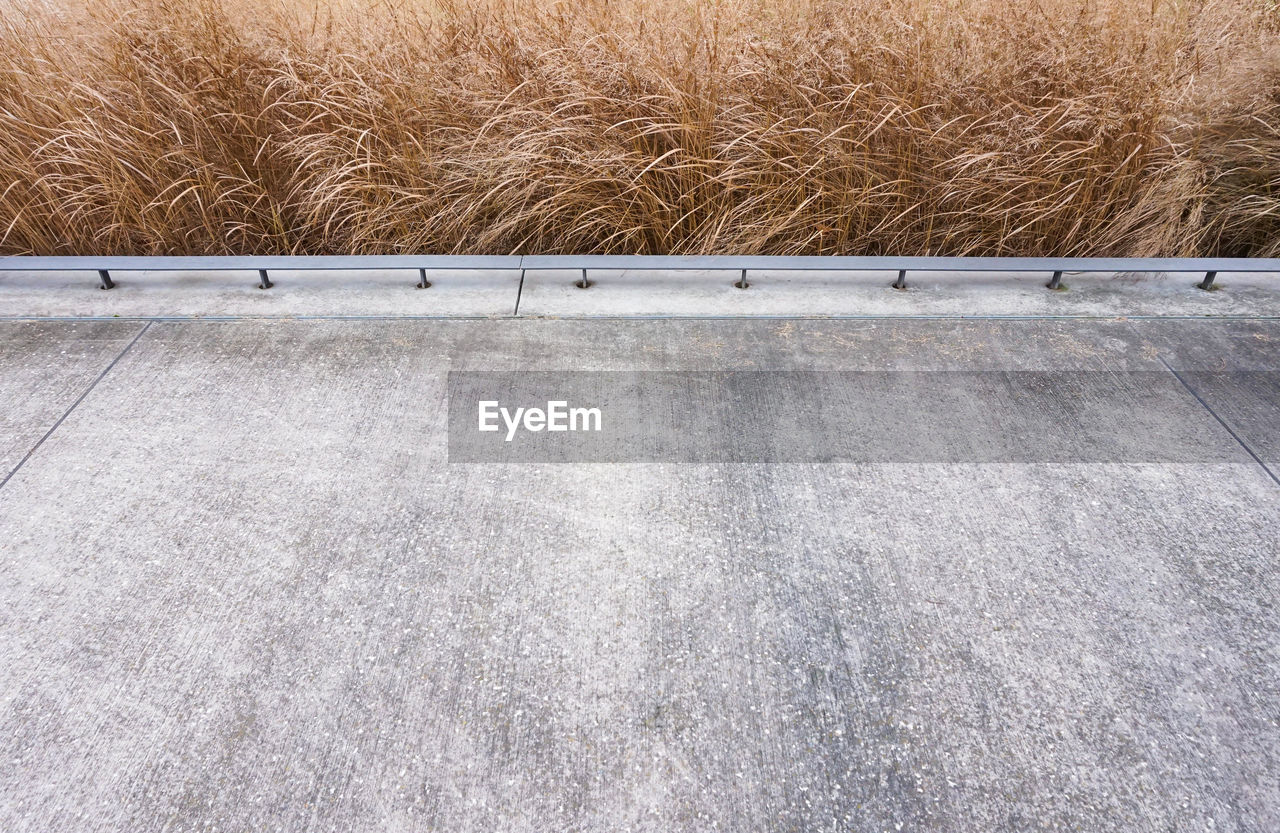 High angle view of road by field