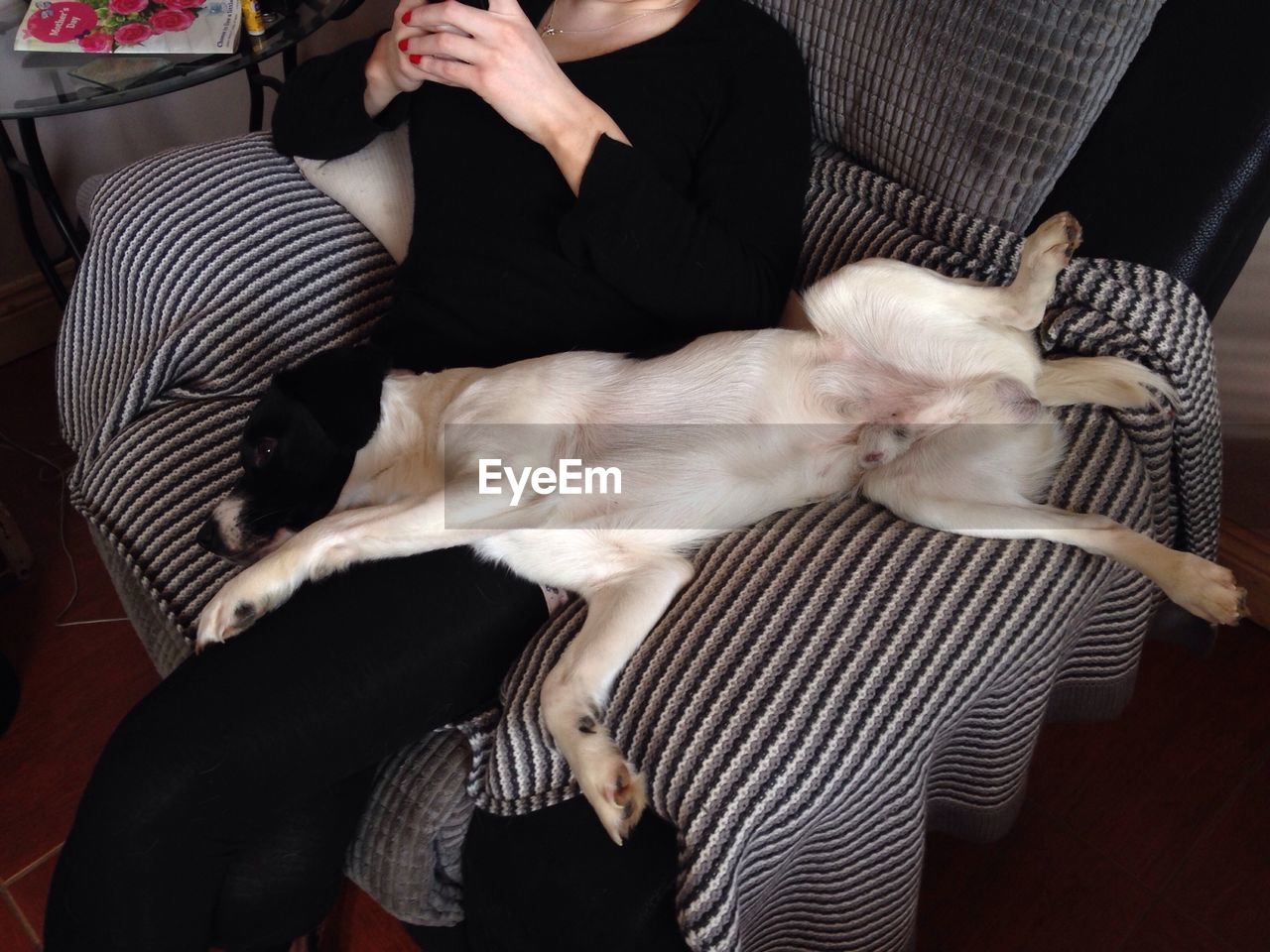 High angle view of a dog sleeping on lap