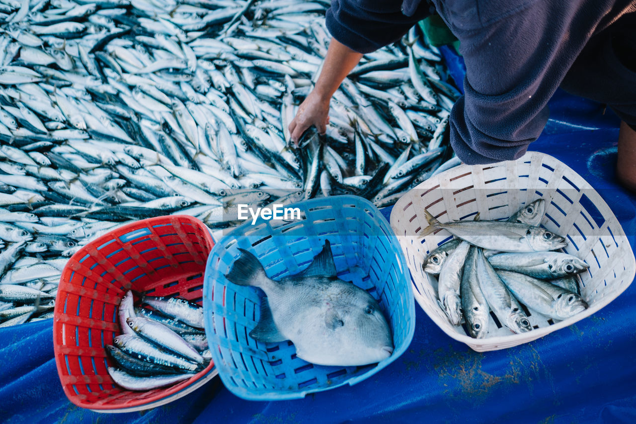 Midsection of fisherman with fish at harbor