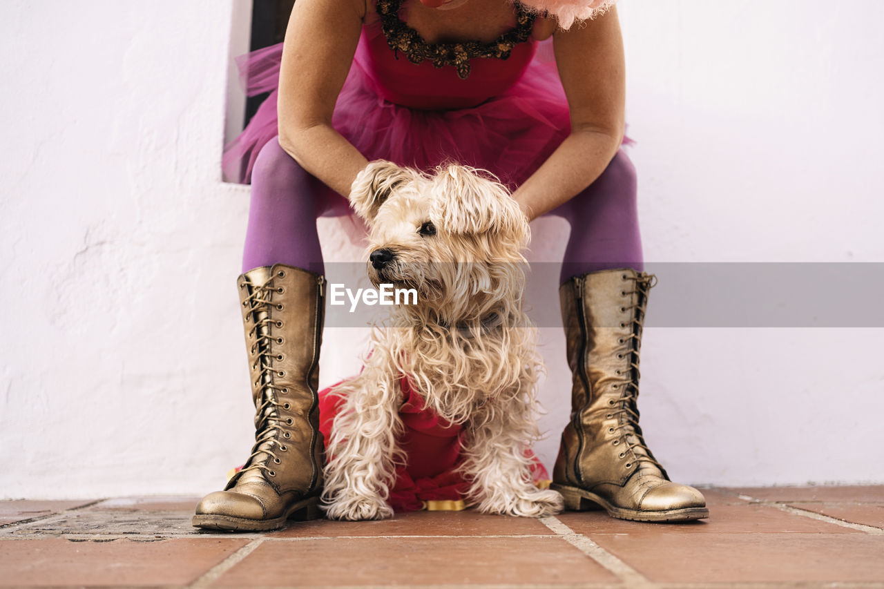 Cropped unrecognizable mature female clown in funny costume embracing adorable fluffy dog while sitting on street after performance