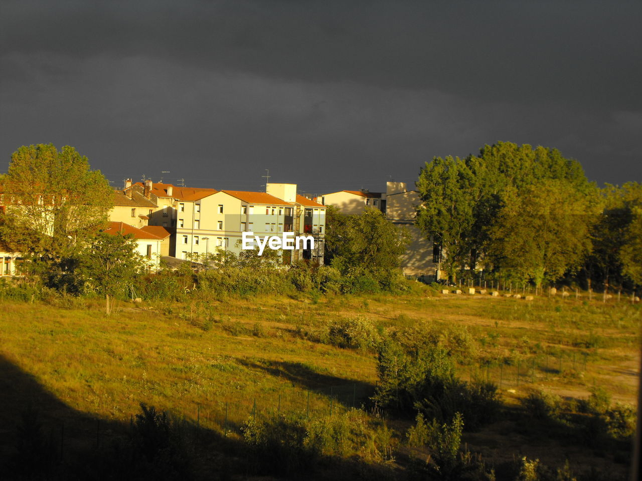 HOUSES ON GRASSY FIELD