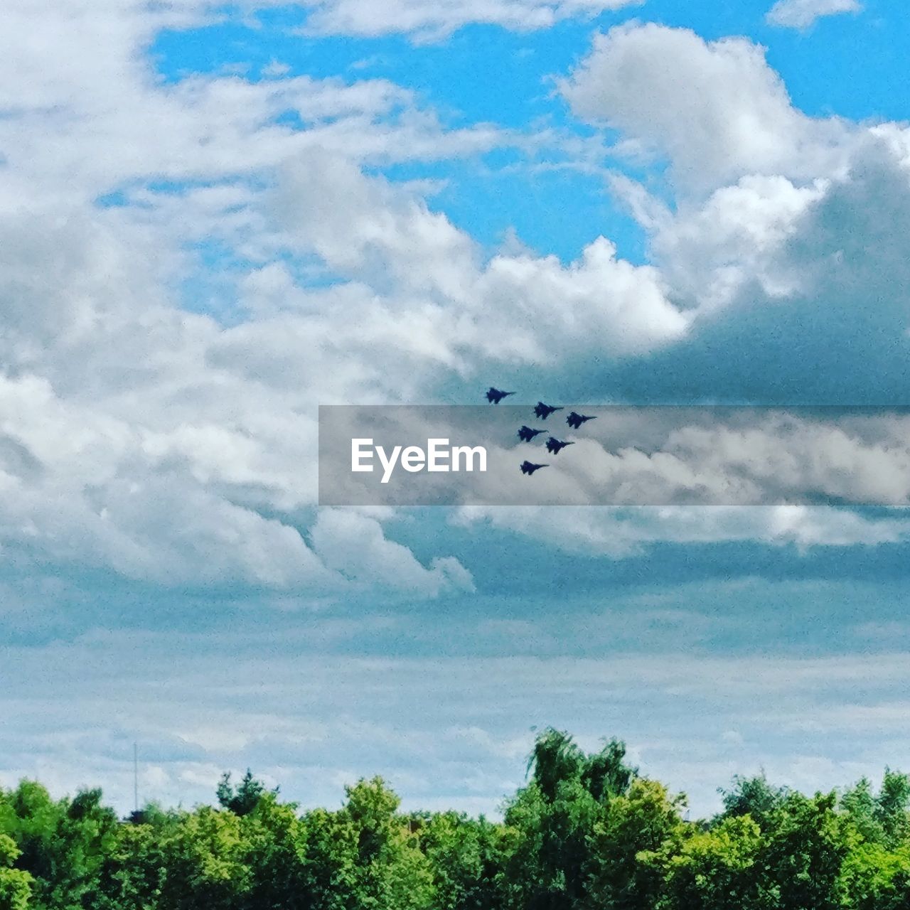 LOW ANGLE VIEW OF BIRDS FLYING AGAINST SKY