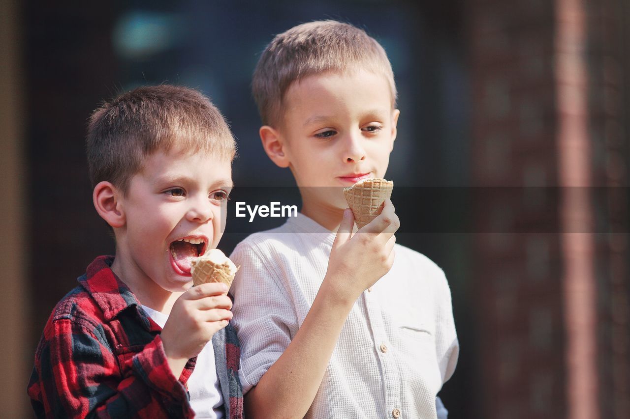 Cute boys eating ice cream