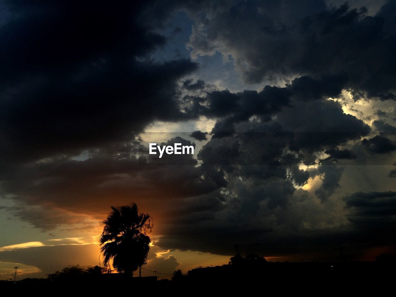 LOW ANGLE VIEW OF SILHOUETTE TREES AGAINST CLOUDY SKY