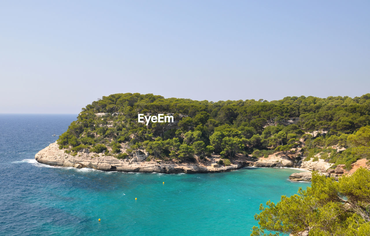 Trees growing by sea against clear sky