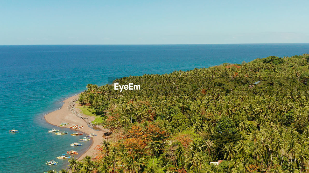 Coconut palms near the beach and the blue sea, above view. beach with fishing boats and palm trees