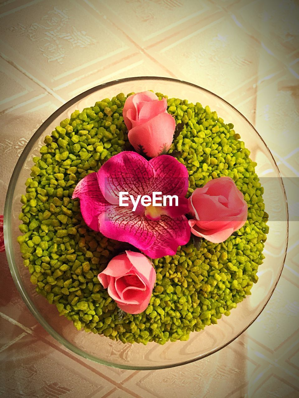 CLOSE-UP OF PINK FLOWERS BLOOMING