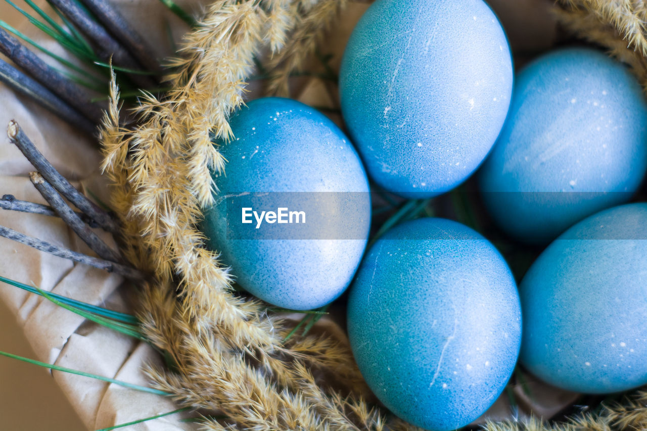 HIGH ANGLE VIEW OF MULTI COLORED EGGS IN BLUE