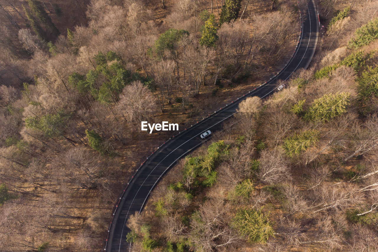 HIGH ANGLE VIEW OF ROAD AMIDST TREES