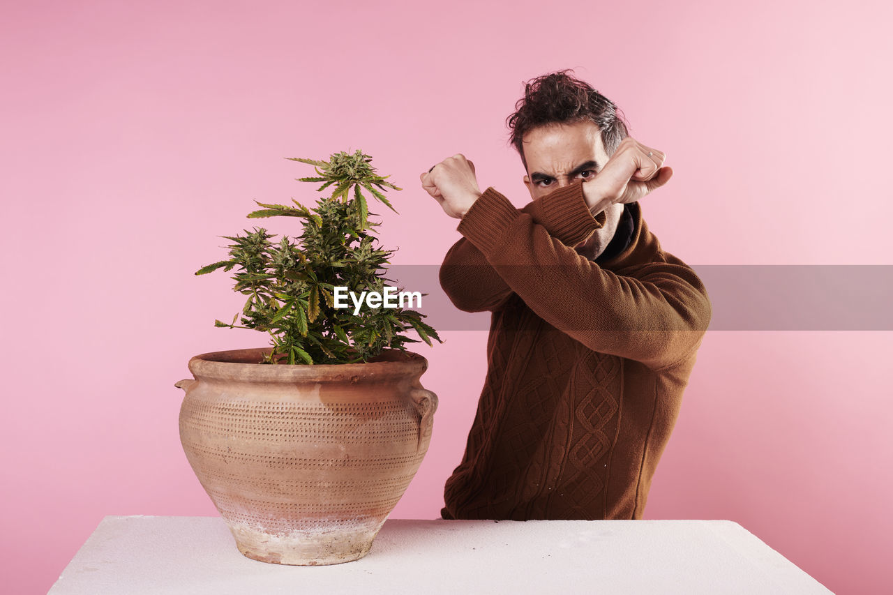 A young boy rejecting a marijuana plant with pink background