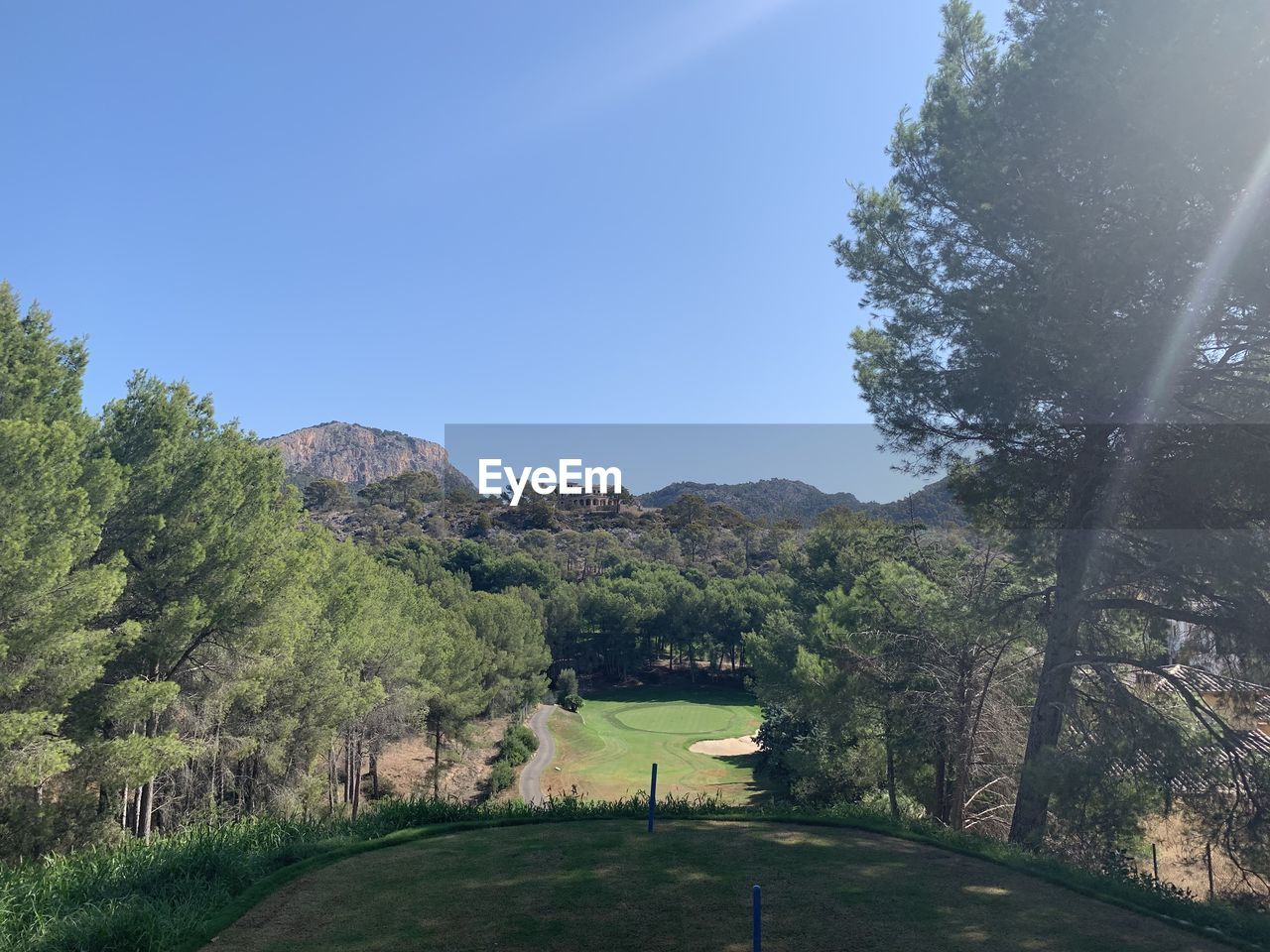 SCENIC VIEW OF TREES AND MOUNTAINS AGAINST SKY