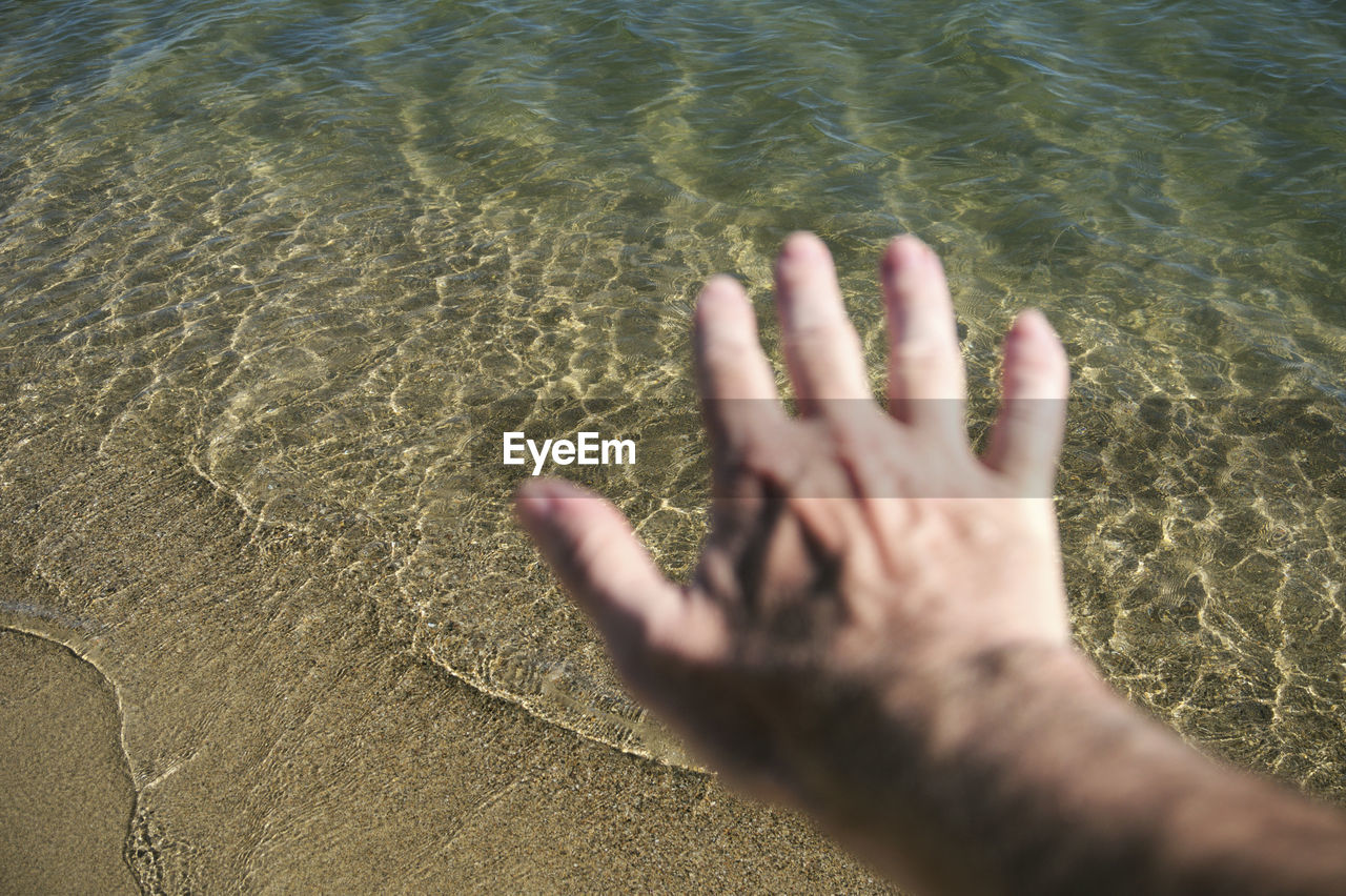 Cropped hand of person at beach