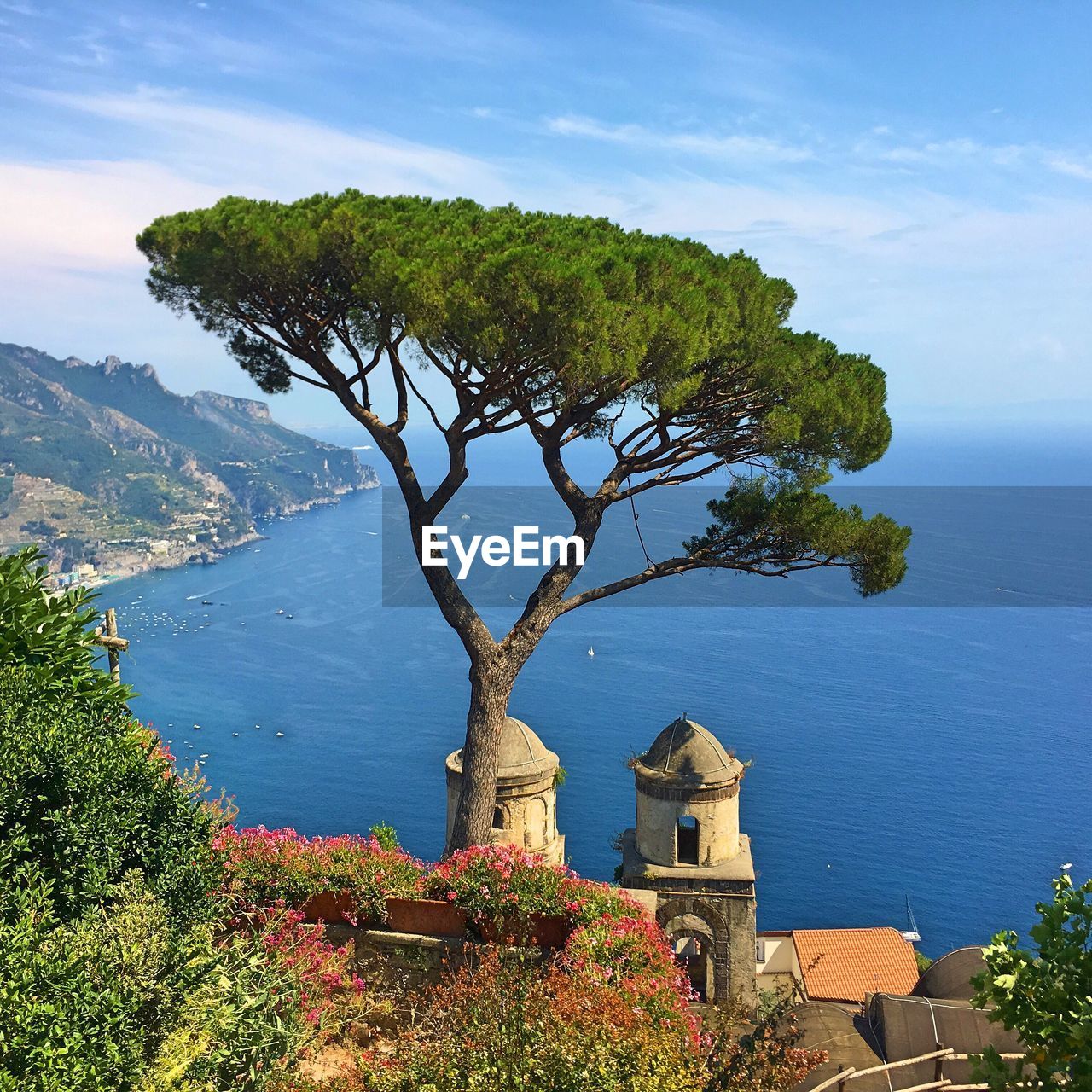 Trees by sea against sky