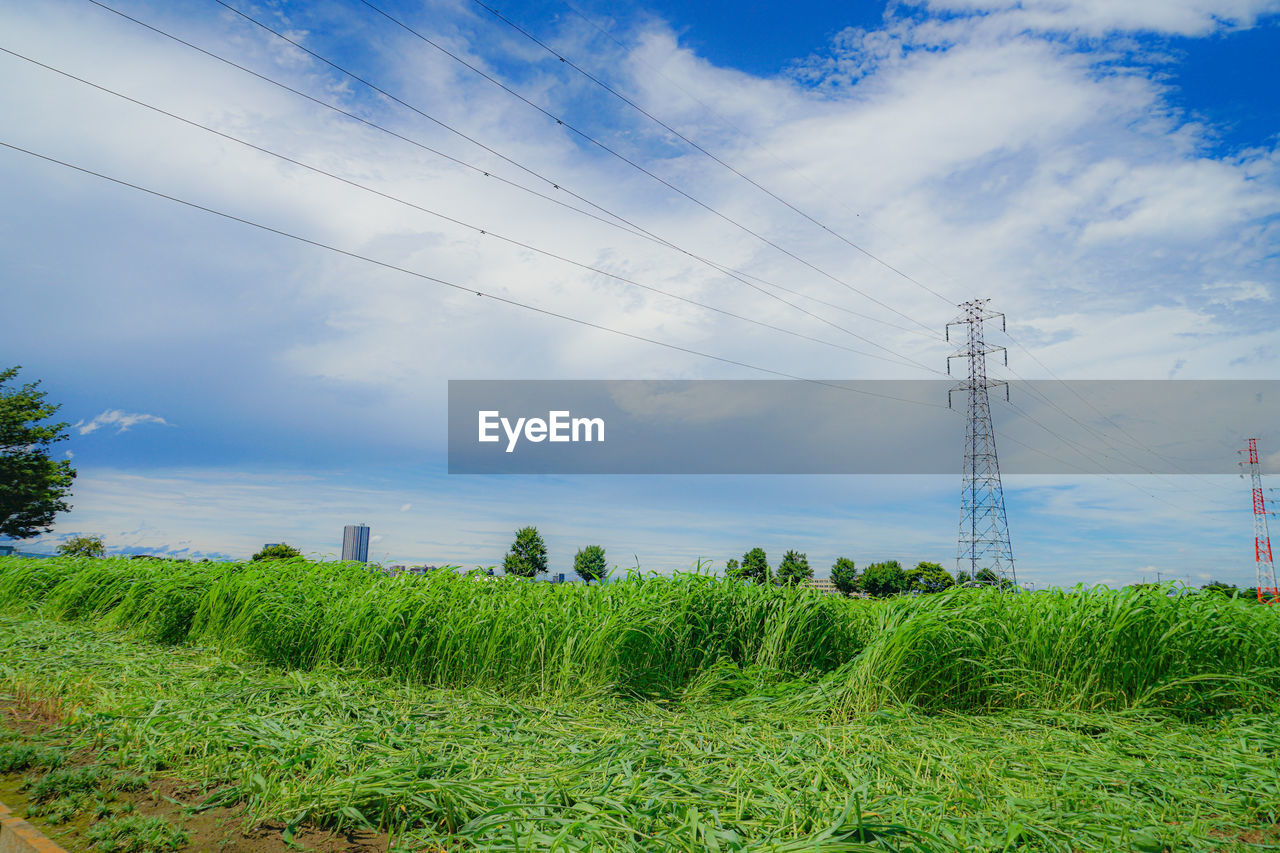 scenic view of field against cloudy sky