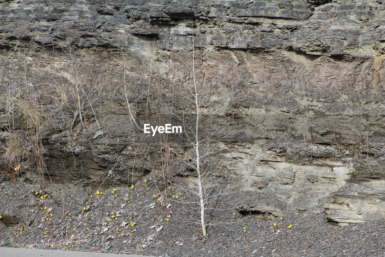 ROCKS IN WATER