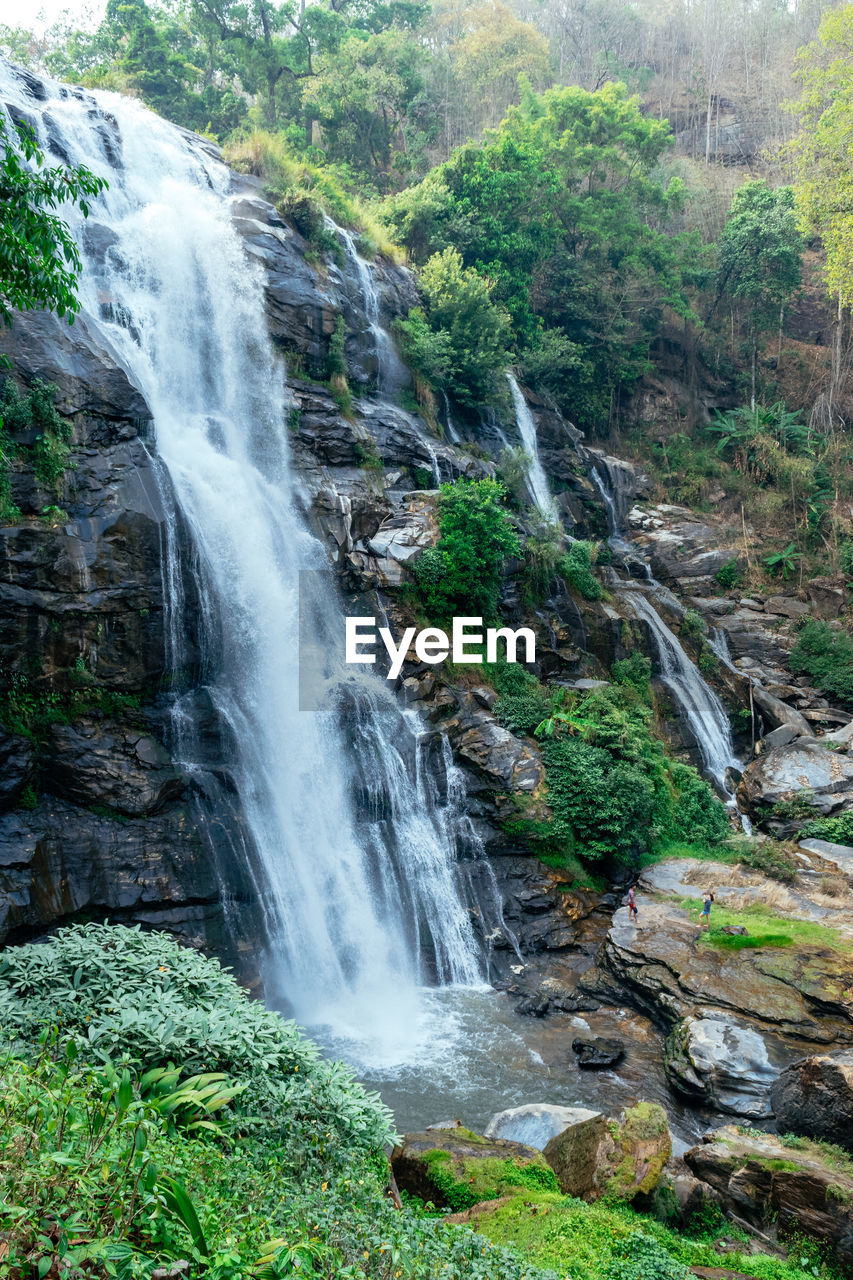 WATERFALL IN FOREST