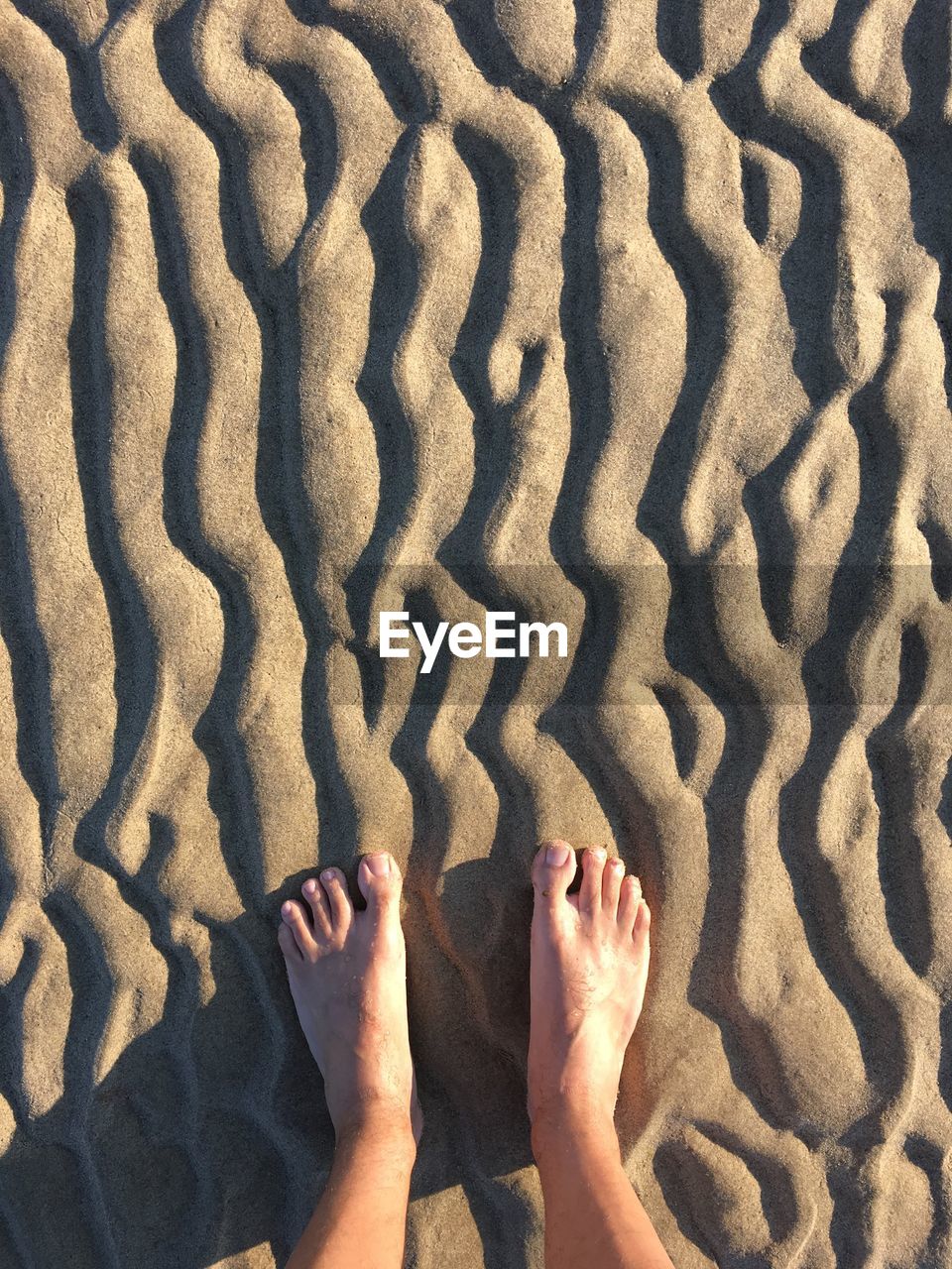 Low section of woman on sand at beach