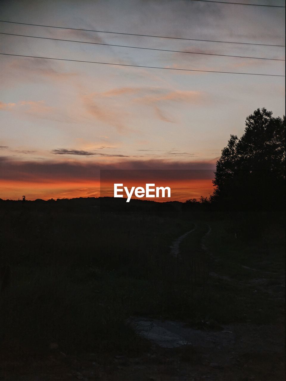 SCENIC VIEW OF SILHOUETTE TREES AGAINST SKY DURING SUNSET