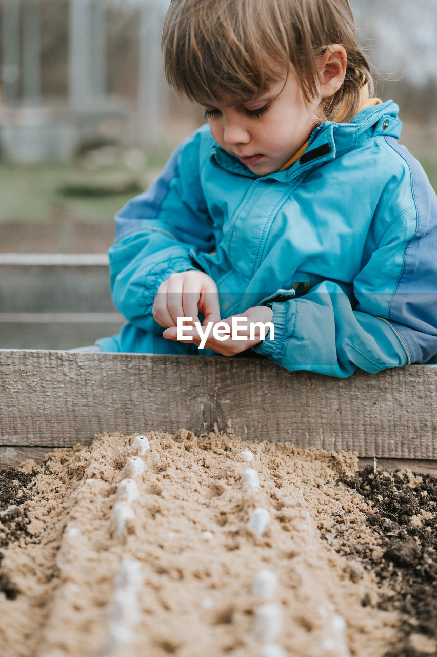 Spring planting seeding farm garden. little kid boy farmer gardener plants sow vegetable seeds soil