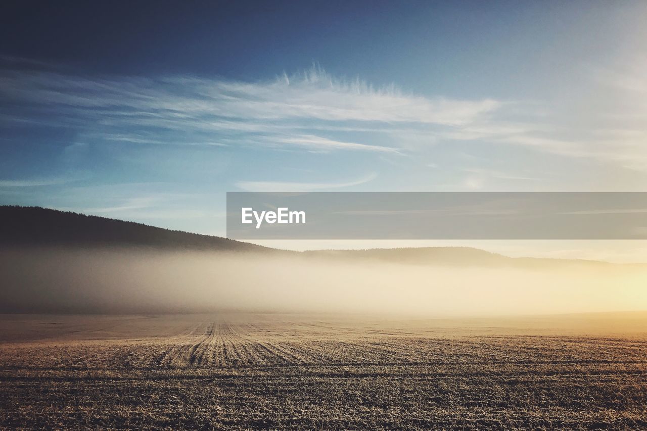 Scenic view of field against sky