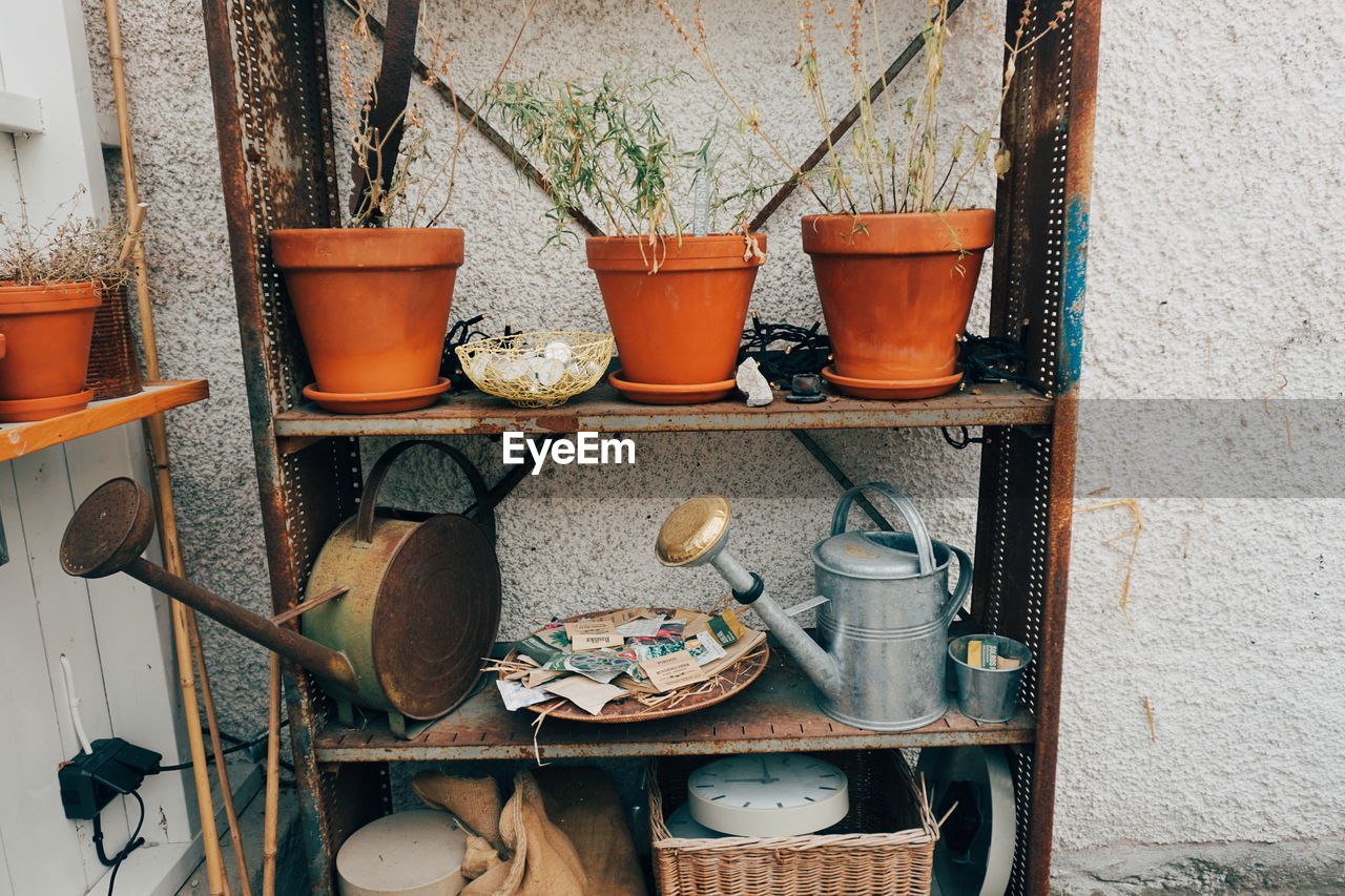 Potted plants and gardening equipment on rusty metal shelf against wall