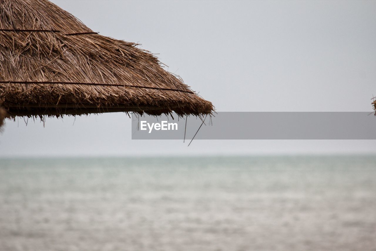 Close-up of dried plant on beach against clear sky