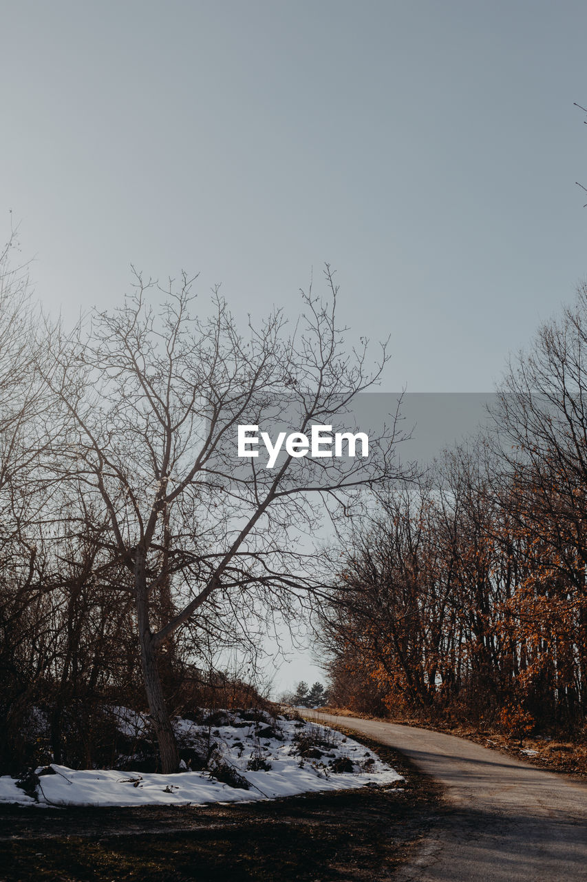 Bare trees on field against clear sky during winter