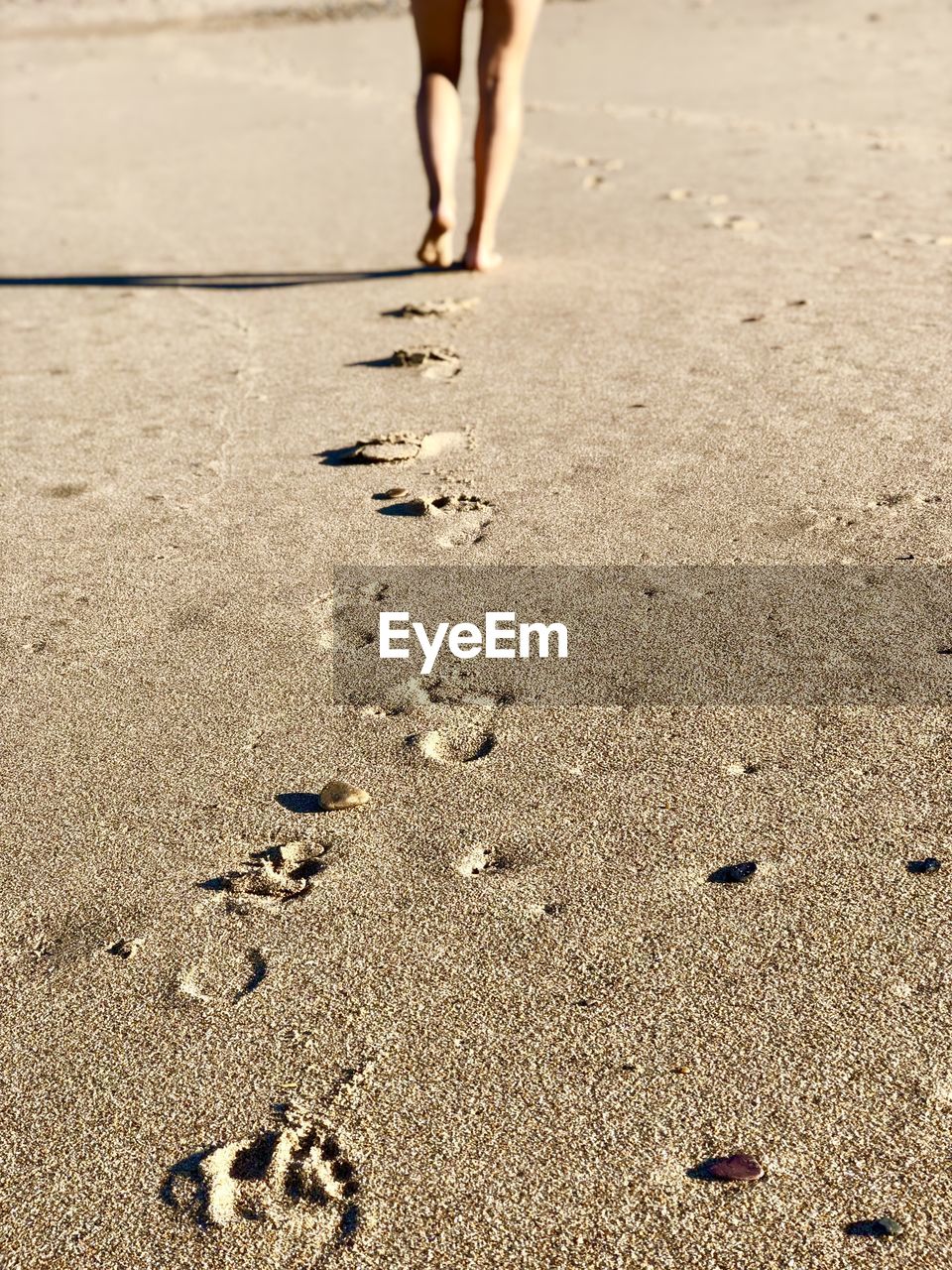 LOW SECTION OF PERSON WALKING ON SAND