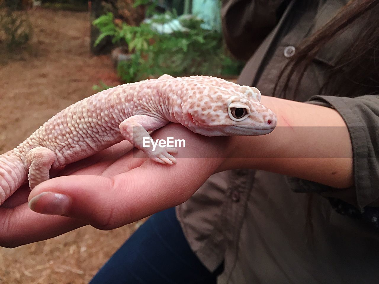 CLOSE-UP OF HUMAN HAND HOLDING LIZARD